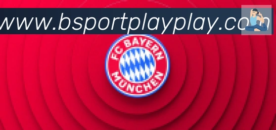 Bsports官网合作伙伴